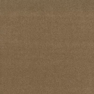 Shaw Floors Nfa Refinement Sienna 00762_NA151