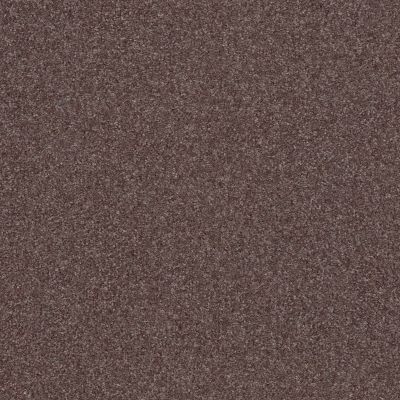 Shaw Floors Nfa Refinement Raven 00961_NA151