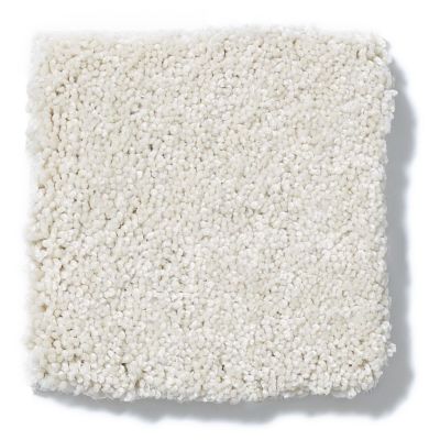 Shaw Floors Nfa/Apg Take the Floor Texture II Modest 5.00E+06_00116
