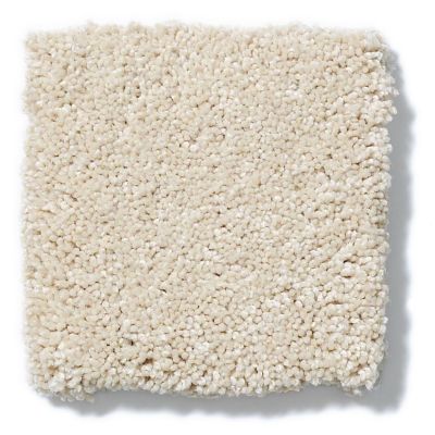 Shaw Floors Nfa/Apg Take the Floor Texture II Toasted 5.00E+06_00121