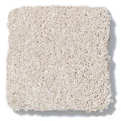 Shaw Floors Nfa/Apg Take the Floor Texture II Patience 5.00E+06_00133