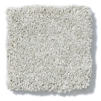 Shaw Floors Nfa/Apg Take the Floor Texture II Lead The Way 5.00E+06_00141