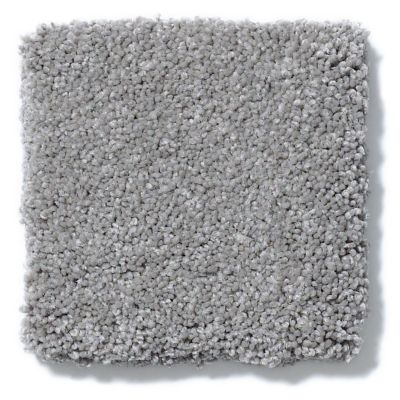 Shaw Floors Nfa/Apg Take the Floor Texture II Anchor 5.00E+06_00546