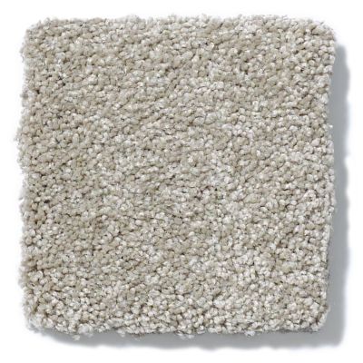 Shaw Floors Nfa/Apg Take the Floor Texture II Threshold 5.00E+06_00732