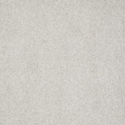 Shaw Floors Nfa/Apg Color Express II Lg Pebble Path 00135_NA210