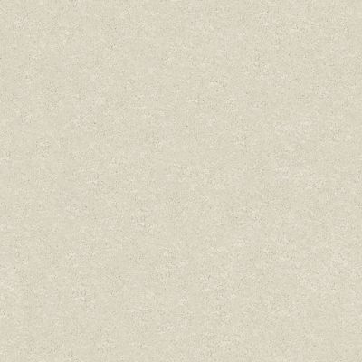 Shaw Floors Nfa/Apg Color Express II Lg Modern Loft 00154_NA210