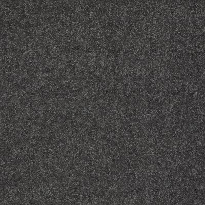 Shaw Floors Nfa/Apg Color Express II Lg Urban Studio 00542_NA210