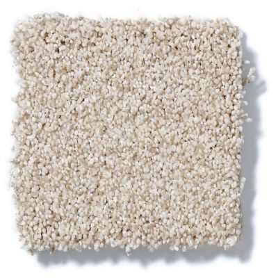 Shaw Floors Nfa/Apg Take the Floor Tonal I Fantasy 5.00E+08_00162
