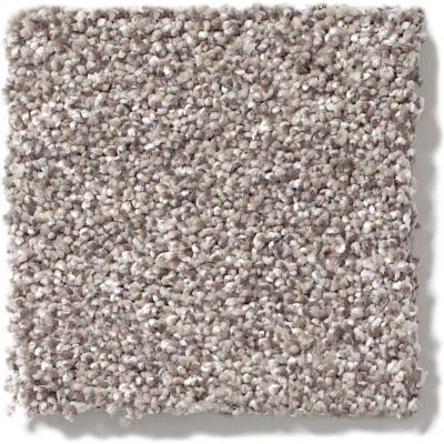 Shaw Floors Nfa/Apg Take the Floor Tonal II Tundra 5.00E+09_00760