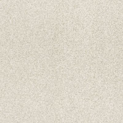 Shaw Floors Nfa/Apg Color Express Tonal II Lg Orion 00160_NA213