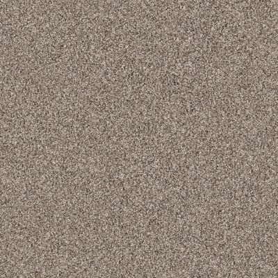 Shaw Floors Nfa/Apg Color Express Tonal II Lg Triumph 00164_NA213