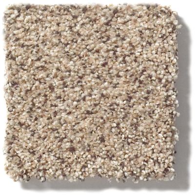 Shaw Floors Nfa/Apg Take the Floor Accent I Desert Sunrise 5.00E+11_00172