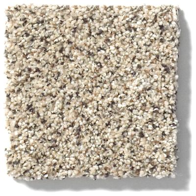 Shaw Floors Nfa/Apg Take the Floor Accent I Luna 5.00E+11_00174