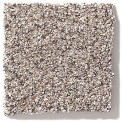 Shaw Floors Nfa/Apg Take the Floor Accent I Cold Springs 5.00E+11_00570