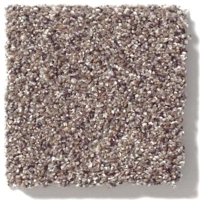 Shaw Floors Nfa/Apg Take the Floor Accent I Storm 5.00E+11_00771