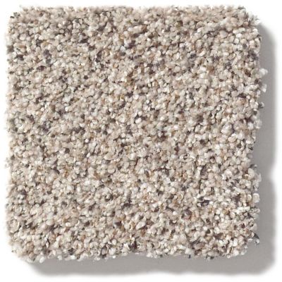 Shaw Floors Nfa/Apg Take the Floor Accent II Riverbed 5.00E+12_00171