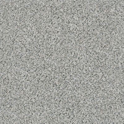 Shaw Floors Nfa/Apg Color Express Accent II Lg Italiano 00170_NA216