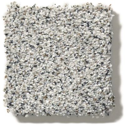 Shaw Floors Nfa/Apg Take the Floor Accent Blue Italiano 5.00E+13_00170