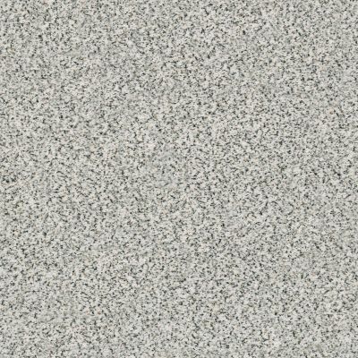 Shaw Floors Nfa/Apg Color Express Accent II Lg Avalanche 00173_NA216