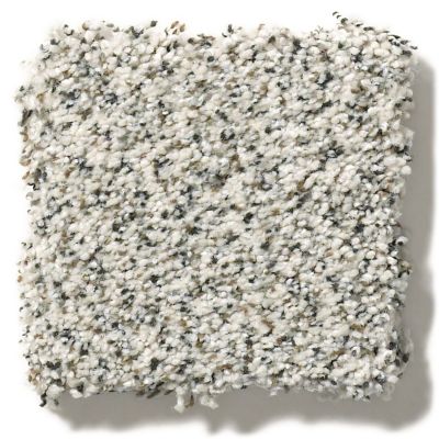 Shaw Floors Nfa/Apg Take the Floor Accent Blue Avalanche 5.00E+13_00173