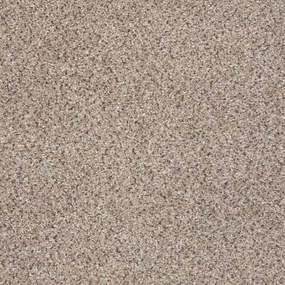 Shaw Floors Nfa/Apg Color Express Accent II Lg Everest 00176_NA216