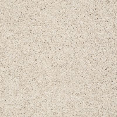 Shaw Floors Nfa/Apg Color Express Twist I Patience 00133_NA217