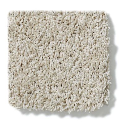 Shaw Floors Nfa/Apg Take the Floor Twist I Neutral Ground 5.00E+14_00134