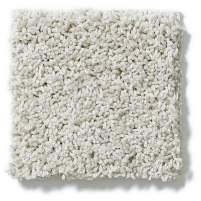 Shaw Floors Nfa/Apg Take the Floor Twist I Alpaca 5.00E+14_00140