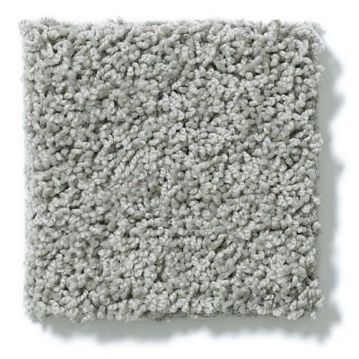 Shaw Floors Nfa/Apg Take the Floor Twist I Flint 5.00E+14_00544