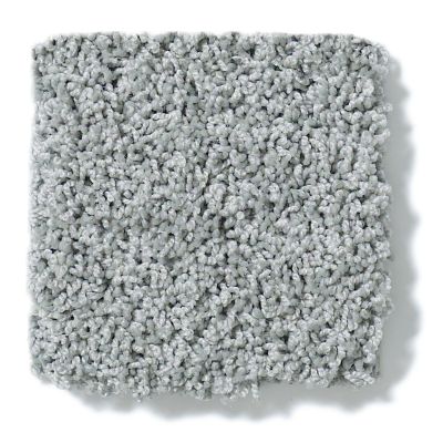 Shaw Floors Nfa/Apg Take the Floor Twist I Pewter 5.00E+14_00551