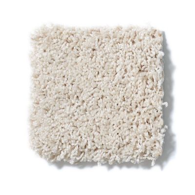 Shaw Floors Nfa/Apg Take the Floor Twist II Biscotti 5.00E+15_00131
