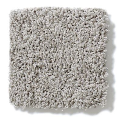 Shaw Floors Nfa/Apg Take the Floor Twist II Anchor 5.00E+15_00546