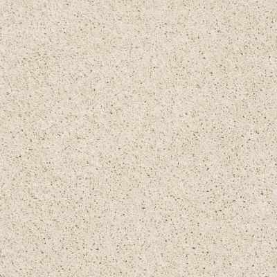 Shaw Floors Nfa/Apg Color Express Twist II Lg Final Straw 00114_NA219