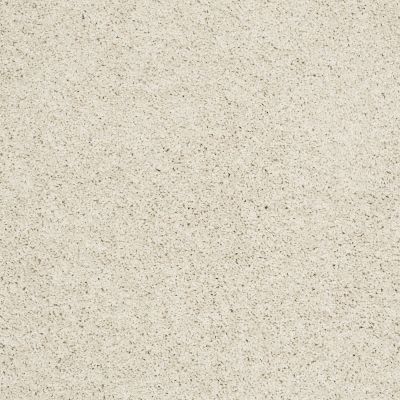 Shaw Floors Nfa/Apg Color Express Twist II Lg Modest 00116_NA219
