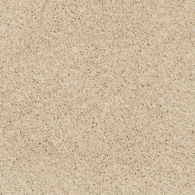 Shaw Floors Nfa/Apg Color Express Twist II Lg Restoration 00120_NA219