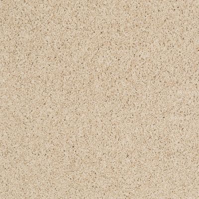 Shaw Floors Nfa/Apg Color Express Twist II Lg Toasted 00121_NA219