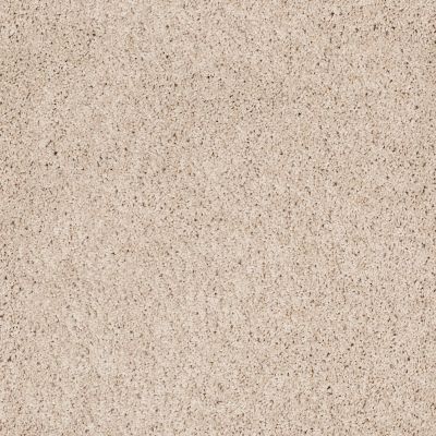 Shaw Floors Nfa/Apg Color Express Twist II Lg Patience 00133_NA219
