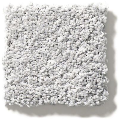 Shaw Floors Nfa/Apg Take the Floor Twist Blue Gray Owl 5.00E+16_00538