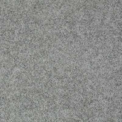 Shaw Floors Nfa/Apg Color Express Twist II Lg Reflection 00541_NA219
