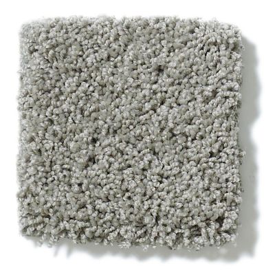 Shaw Floors Nfa/Apg Take the Floor Twist Blue Flint 5.00E+16_00544