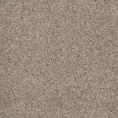 Shaw Floors Nfa/Apg Color Express Twist II Lg Threshold 00732_NA219