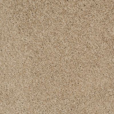 Shaw Floors Nfa/Apg Color Express Twist II Lg Hazelnut 00750_NA219