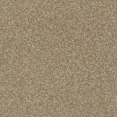 Shaw Floors Nfa Just A Touch I Gold Rush 00200_NA221