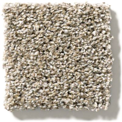 Shaw Floors Sweet Appeal Charmed Hues Sugar Cookie 5.00E+39_00101