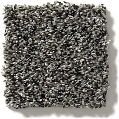 Shaw Floors Sweet Appeal Charmed Hues Meteorite 5.00E+39_00501