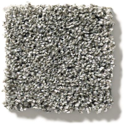 Shaw Floors Sweet Appeal Charmed Hues Warm Onyx 5.00E+39_00515