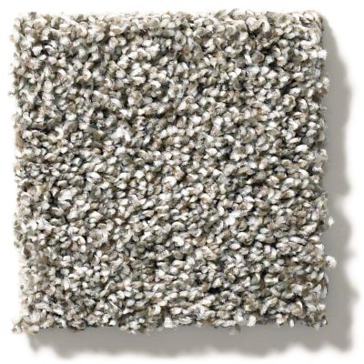 Shaw Floors Sweet Appeal Charmed Hues Bird Bath 5.00E+39_00700