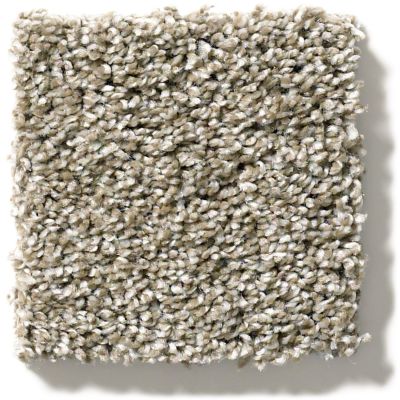 Shaw Floors Sweet Appeal Charmed Hues Wild Truffle 5.00E+39_00710