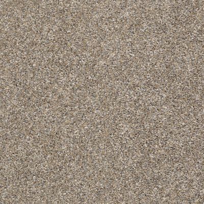 Shaw Floors Nfa You Got It II Weathered 00710_NA241