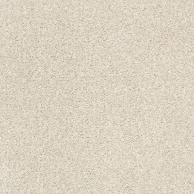 Shaw Floors Nfa/Apg Subtle Charm Tonal II Vintage Quilt (t) 0121T_NA246